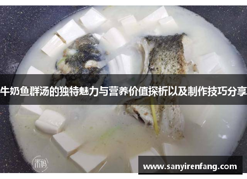 牛奶鱼群汤的独特魅力与营养价值探析以及制作技巧分享
